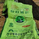 [공지] 전원생활_텃밭 가꾸기(ft: 쇠스랑으로 밭을 일궈야 하는 봄맞이 후기)