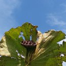 연자농장 이미지