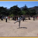 콩쥬 Daum카페