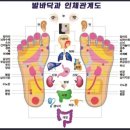 바이오스피릿(주) 이미지