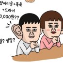 고양이미용호텔_미야옹 이미지