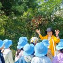 고양시청 덕양구보건소 이미지