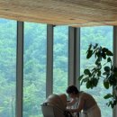 푸른솔농장 | [2026-06] 100일 아기 첫 여행, 제천 리솜포레스트(G40)
