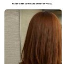 헤어데몽 이미지
