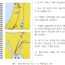 로뎀나무아래