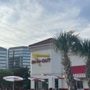 대교로 3L | 비행일기 | DXB-DFW 달라스 비행2/2