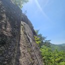 황장산건너편 진대산(쟈니대장님 첫공지 산행) 이미지