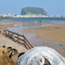 제주곶자왈별장 이미지