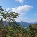 연화행정사사무소 이미지