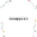 더마레 풀빌라 | 더마레풀빌라 후기 2025년 최고의 럭셔리 리조트 체험기