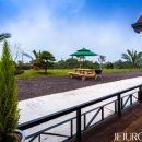 맨도롱하우스 이미지