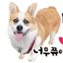 미산 오락실 이미지