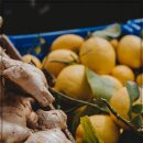 생강부엌 이미지