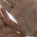 메디컬에디션 | 두피 케어부터 탈모 방지까지, 맞춤 샴푸 추천 후기