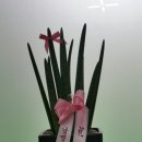 우리가축인공수정소 이미지