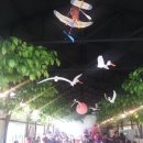 검준공단식당 이미지