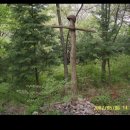 회문산자연휴양림 이미지