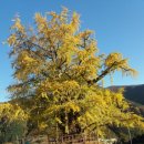 김진수농장 이미지