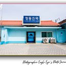 정동진역 | 정동진역 기네스북 등재 강릉 가볼 만한 곳, 바다와 가장 가까운 기차역 감성여행 후기 ·주차정보