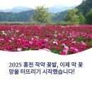 신백 홍천말 마을회관 | 홍천 작약꽃밭 실시간 개화 정보