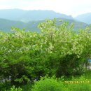 파란주유소 이미지