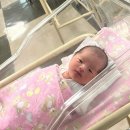 호성어린이집 | 둘째 자연분만 후기 _ 대구 신세계병원 / 경산모 출산 후기 / 둘째출산 누가 쉽다했나요?