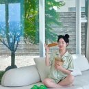 [경북/경주] 어메니티가 무려 에르메스..? 초호화 럭셔리 신상숙소, 포에티스 풀빌라 “오로라” 객실 후기