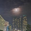 더베이프리미엄아파트 | 남포동 부산은행 아트시네마 / 부산근현대역사관 / 이재모피자 / 더베이101 / 해운대 포차거리 / 댓나잇