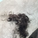 우솔 헤어스케치 이미지