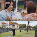 어스플레닛