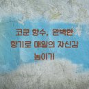 (주)아름라이프 | 코쿤 향수, 완벽한 향기로 매일의 자신감 높이기