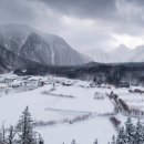 ㈜트레블카페 이미지