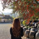 동명농장 이미지