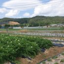 쉼터하우스 이미지