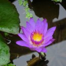 봉암동252 이미지