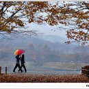 우산속으로 이미지