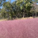 시온유 | 익산 왕궁포레스트 다녀온 후기😍