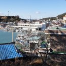 농협하나로마트 돌산지점 Daum카페
