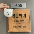 [서울 천호/공방] 반려동물 양모펠트 공방 콩순이네 (서울원데이클래스 추천)