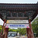 공근남로 산벚나무길 | <진안> 국내 5월초에 가볼만한곳 전북 꽃구경 여행 등산코스-마이산