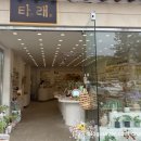꽃.타래 | 경주 타래 : 황리단길 뜨개소품샵, 내 돈 내산 후기