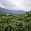 DG481펜션2 이미지