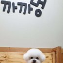 까까멍 이미지