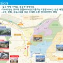 헤스티아벨리 이미지