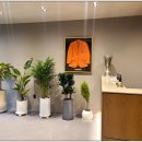 법원 골프아카데미 | 상현역골프레슨 수원 광교 골프레슨 백프로골프아카데미 강추드려요