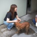 신성세차장 이미지