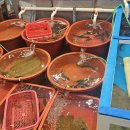 부일횟집 이미지