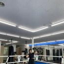 복싱스튜디오 운정점 이미지