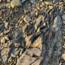 보령바다마을펜션 | 보령 바다야놀자 캠핑장펜션 후기