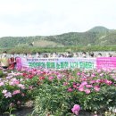 영천
